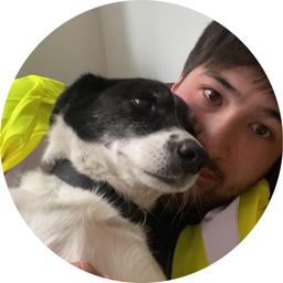 Dan