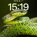 Badshah Test