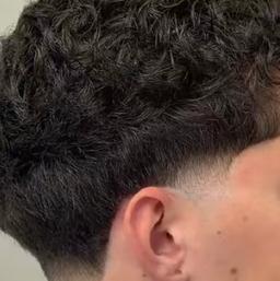 Ale