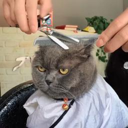 Ramiz Barbershop