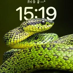 Badshah Test